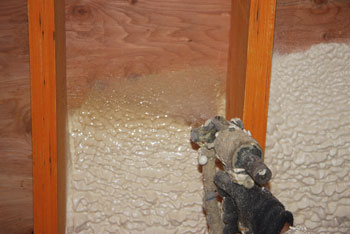 spray foam insulation